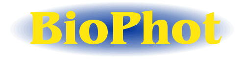 BioPhot logo