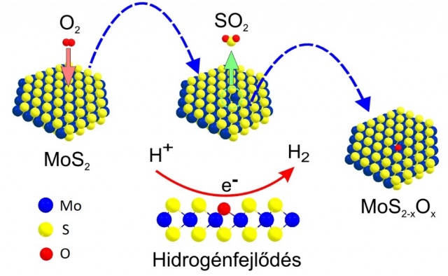 2D MoS2 catalysis