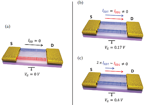 Three state MoS2 transistor